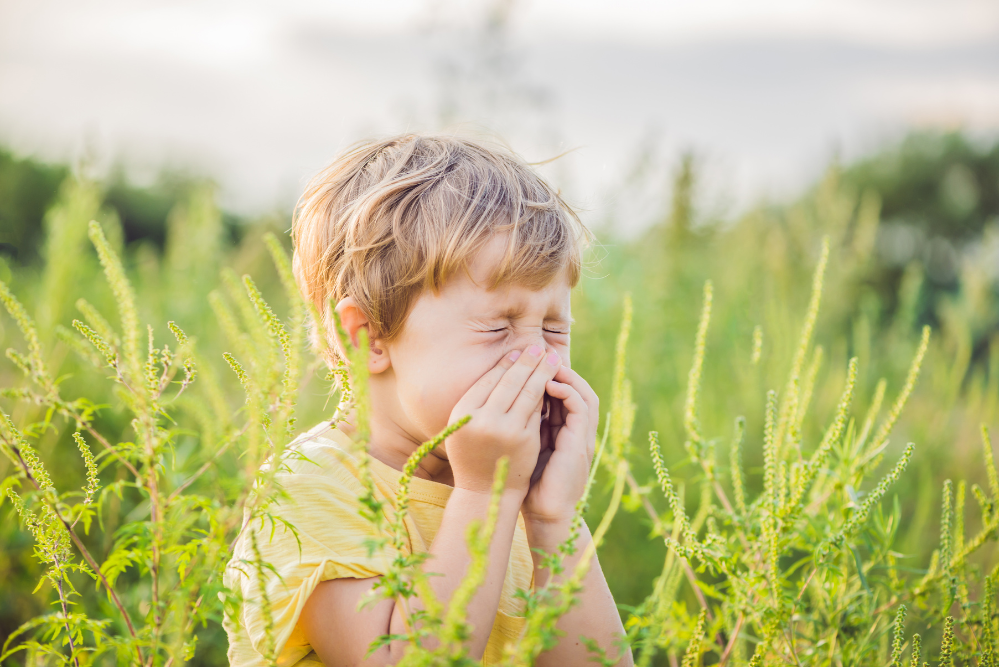 grass allergy, grass pollen