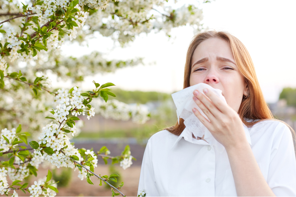 Tree Pollen Allergies